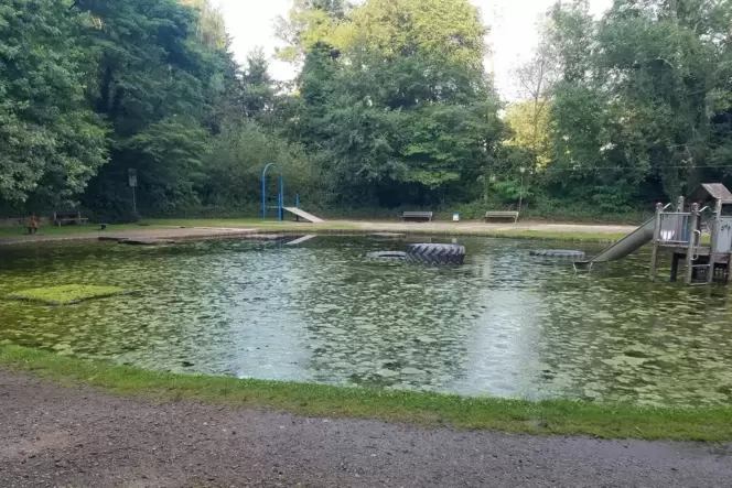 Der Algenteppich auf dem Teich des Wasserspielplatzes sorgt laut Siegfried Stolz von der SPD Jägersburg dafür, dass die Kinder d