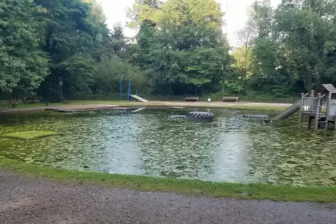 Der Algenteppich auf dem Teich des Wasserspielplatzes sorgt laut Siegfried Stolz von der SPD Jägersburg dafür, dass die Kinder d