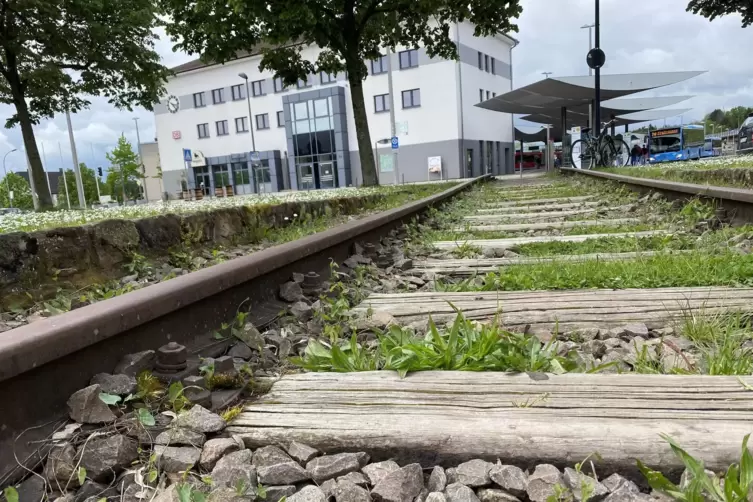 Ein Stück Vergangenheit: das alte Gleisbett am Pirmasenser Hauptbahnhof. 