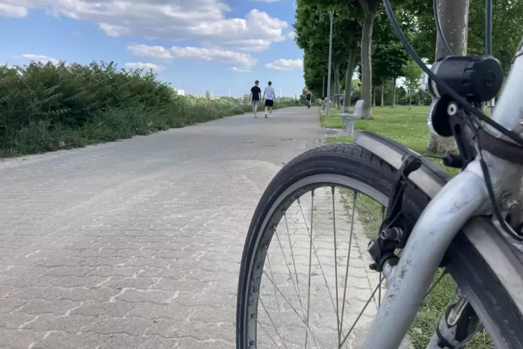 Start der Radtour ist an der Rheinpromenade in Ludwigshafen.