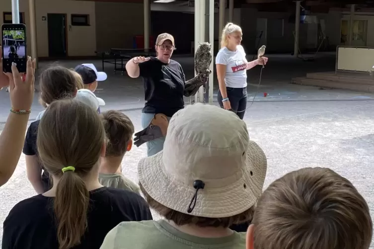 Andächtig hören die Kinder der Falknerin Courtney Iwersen und ihrere Helferin Theresa zu, als die die Tiere vorstellen. 