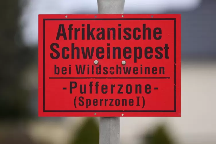 Die Pufferzone umschließt die infizierte Zone. Ihr Zweck: das Risiko einer Verbreitung der Seuche möglichst reduzieren. 