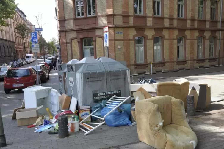 Solche illegalen Müllablagerungen sind in Ludwigshafen an der Tagesordnung.