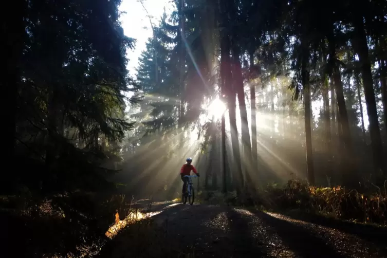 Der Weg ist das Ziel mit seinen besonderen Momenten und besonderen Stellen, an denen sich der Blick öffnet, was ein nahezu mysti