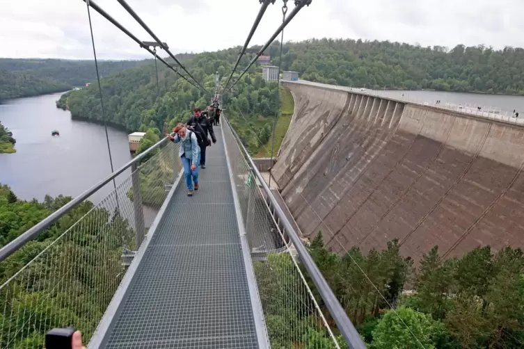 Elf riesige „Kleine Eisvögel, so heißt die gewählte Art, zieren die Mauer. Von der Hängebrücke daneben hat man einen atemberaube