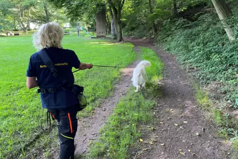 Unter der Führung von Ute Buheitel verfolgt ihr weißer Schäferhund Sämi eine Spur.