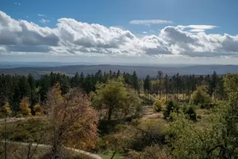 Nationalpark Hunsrück-Hochwald