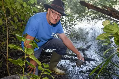 Walter Gramlich vom Nabu Heidewald mit einer in Bobenheim-Roxheim ausgewilderten Schildkröte.