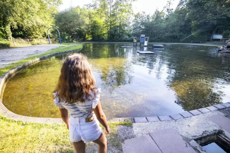 Der Teich des Wasserspielplatzes im Homburger Stadtteil Jägersburg war vorige Woche noch übersät mit dem Algenteppich. Im glibbr