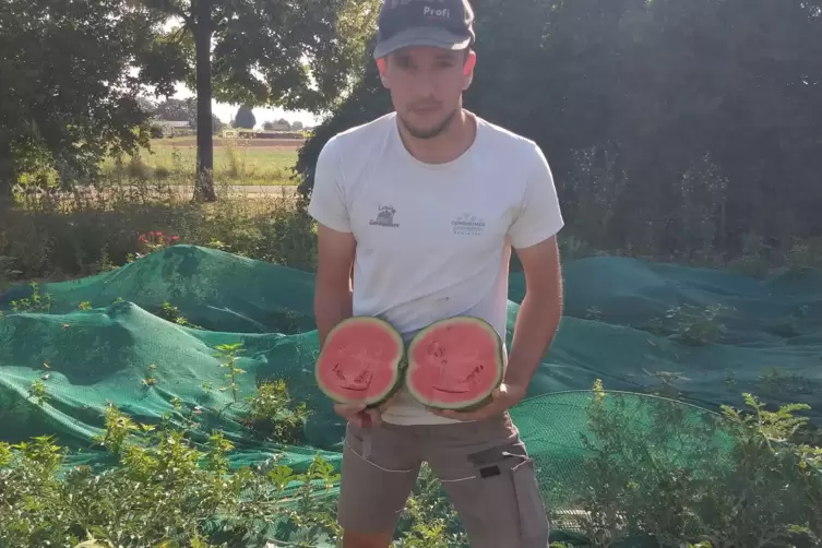 In der „Toskana Deutschlands“ seien die Bedingungen für die Melone genau so gut wie in der italienischen, findet Louis Gensheime