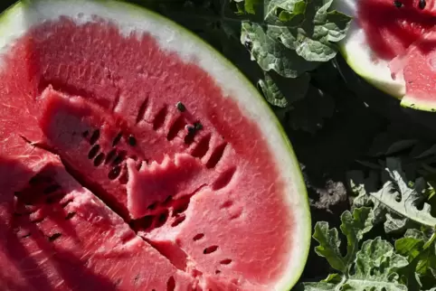 In der „Toskana Deutschlands“ seien die Bedingungen für die Melone genau so gut wie in der italienischen, findet der Jungbauer. 