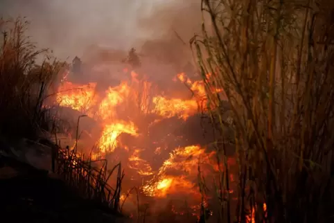 Großbrand nahe Athen