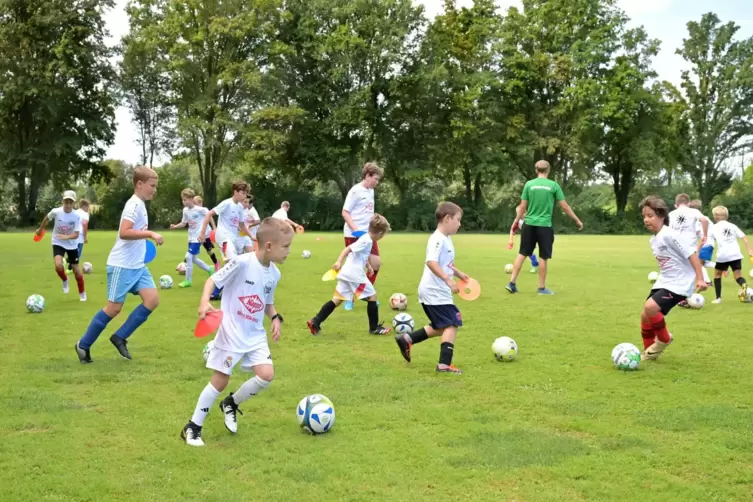 Jeweils vier Stunden Training an vier Tagen: Camp in Otterstadt.