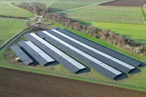 Seit 2023 in Betrieb: Der Obrigheimer Solarpark ist 1,5 Hektar groß.