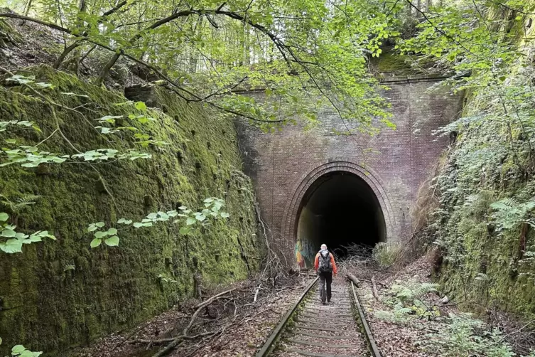 Der Stempelkopftunnel im Pfälzerwald zwischen Ramsen, Enkenbach-Alsenborn und Neuhemsbach gelegen. 