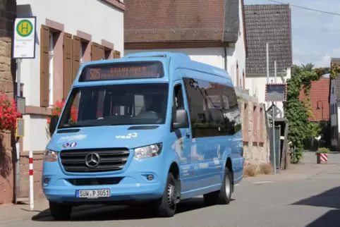 Dieser blaue Kleinbus fährt künftig als Flexline auf Abruf. Hier steht er in Kleinfischlingen. 