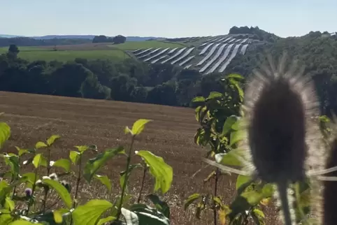 Da steht er, der Walshauser Solarpark, doch Strom fließt hier noch nicht.