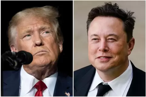 Wahlkampf in den USA - Trump und Musk