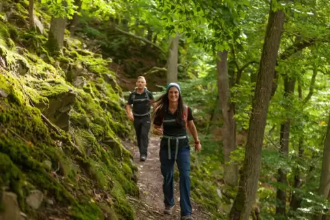 Wanderer auf dem Urwaldsteig am Edersee