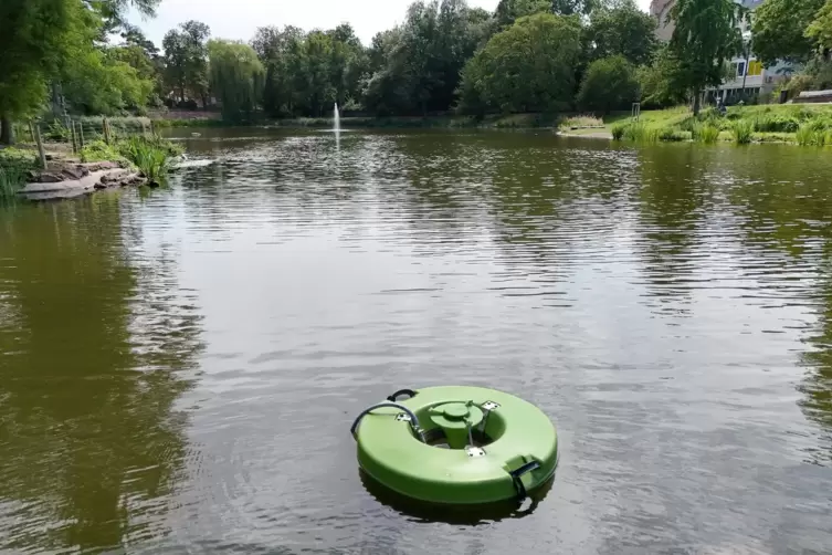 So sehen die schwimmenden Belüfter im Schwanenweiher aus. Die Insel links am Bildrand wird eingezäunt. 