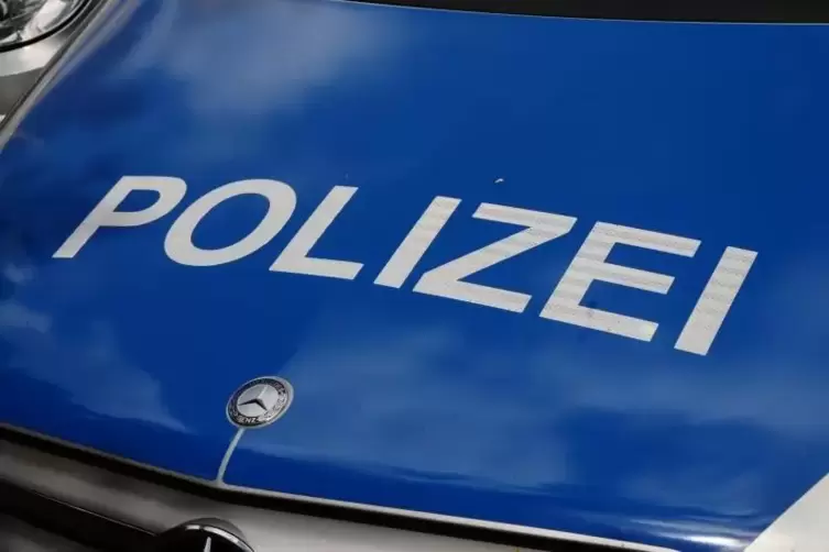 blaulicht_polizei_polizeiauto_foto_merkel (5)