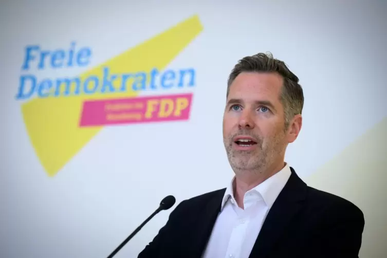 FDP-Fraktionschef Dürr