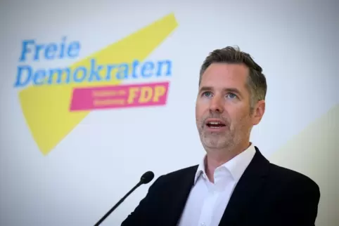 FDP-Fraktionschef Dürr