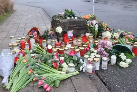 Nach Gewalttat an Schule in St. Leon-Rot