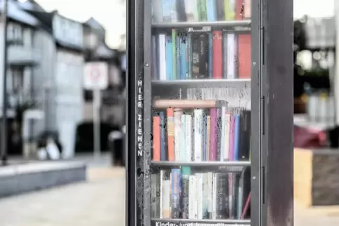 In Bücherschränken kann man lesen als wären sie die Biografie ihrer Besitzer. Manchmal sind es auch Geschichten von Eitelkeit od