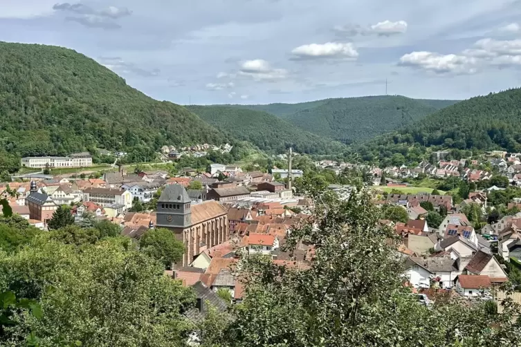 Erste Tuchmacher-Aussicht: Lambrecht-Panorama aus Streuobstwiesenperspektive. Die gotische Klosterkirche dominiert dasBild. 