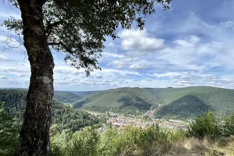 Zweite Tuchmacher-Aussicht: Blick vom Wildsaukopf über Lambrecht.