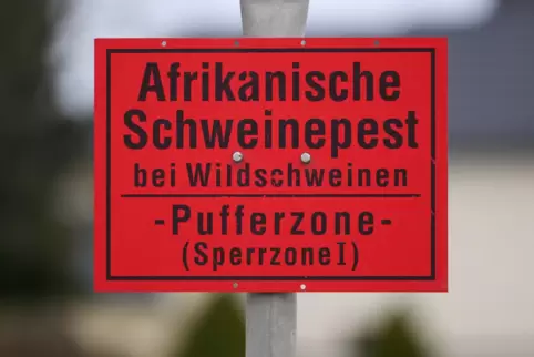 Infektionsschutz: Damit sich die Afrikanische Schweinepest nicht im Donnersbergkreis ausbreitet, hat die Kreisverwaltung prävent