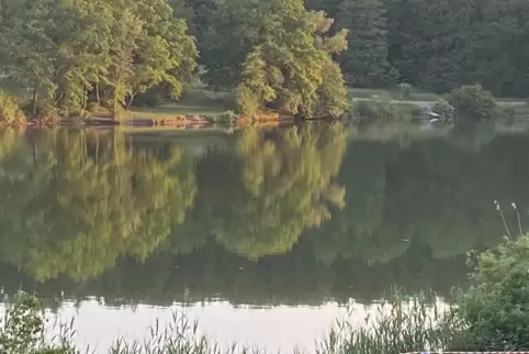 Hier geht’s lang: Am Ohmbachsee führt Kuseline Jil Biedinger eine Familientour an. 