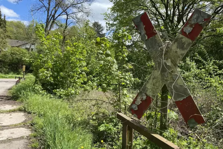 Die alte Bahnstrecke von Zweibrücken nach Homburg, hier bei Schwarzenbach. 