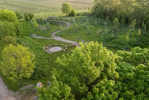 Im Arboretum steht eine große Auswahl von Bäumen, die (hoffentlich) den Klimawandel verkraften. 