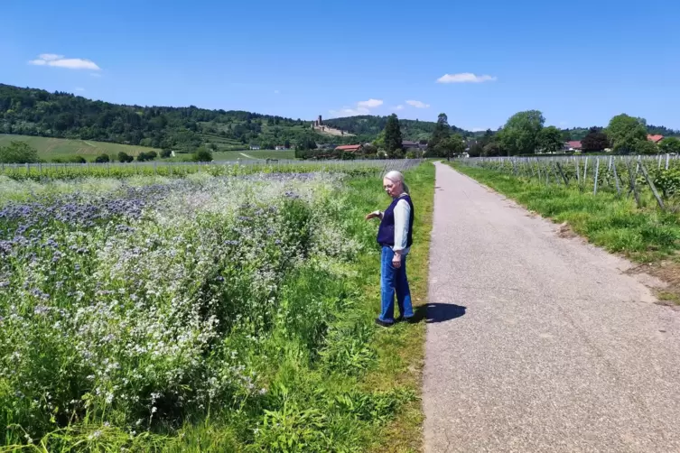 „Dieser Weg führt vom Friedhof in Forst durch Reben und Wald zur Burg. Schön, dass man an dieser Stelle die Natur gewähren lässt