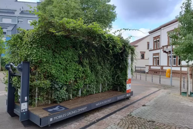 Das grüne Zimmer hat auf dem Platz der Kinderrechte Station gemacht. Für Brigitta Röthig-Wentz reicht das nicht aus, um den Plat