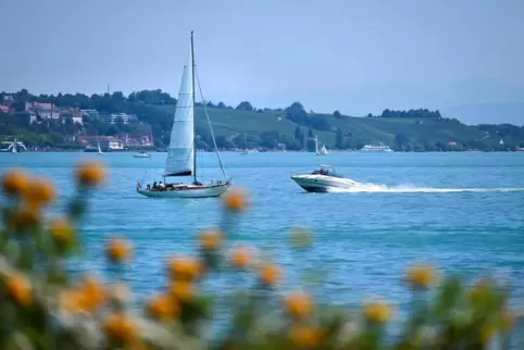 Bilderbuchwetter am Bodensee