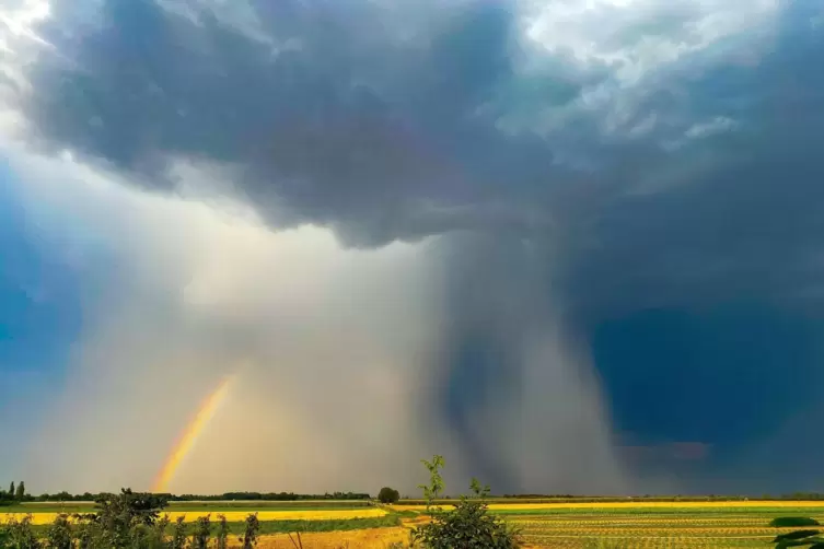 Auf Hitze folgt Gewitter: Diesen Blick aus Gönnheim in Richtung Ludwigshafen hat Susanne Eicher eingefangen. 