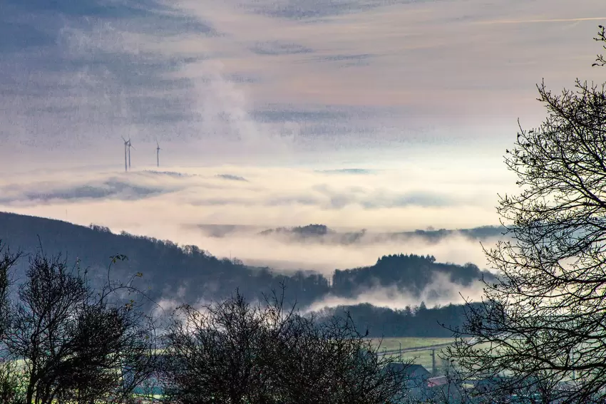 Morgennebel am Reiterhof, Gemeinde Schweisweiler.