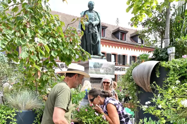 Unter den wachsamen Augen von General Hartmann auf dem Marktplatz berät Jan D. Janßen vom Vierländer Rosenhof aus Hamburg Maria 