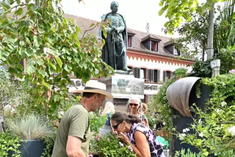 Unter den wachsamen Augen von General Hartmann auf dem Marktplatz berät Jan D. Janßen vom Vierländer Rosenhof aus Hamburg Maria 