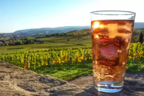 Dialekt-Fans aufgepasst: Die RHEINPFALZ ruft zur Wahl des „Pfälzer Wort des Jahres“ auf! 