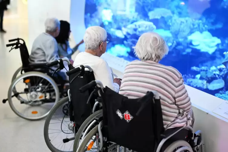 Seniorinnen bei einer Führung für Menschen mit Demenz im Staatlichen Museum für Naturkunde Karlsruhe.