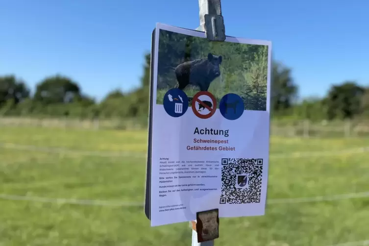 Ein Schild warnt bei Lambsheim vor der Afrikanischen Schweinepest.