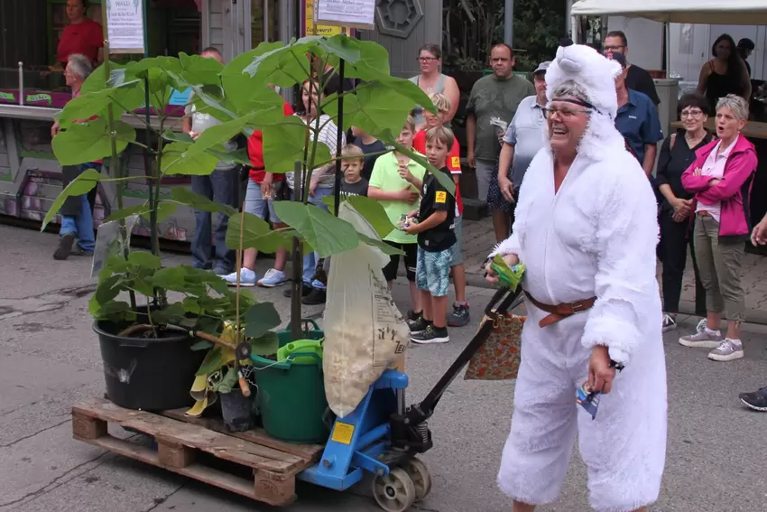 Karl-Ludwig Schlipp mit dem Asselheimer Klimawald.