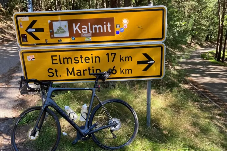 Die Kalmit ist der höchste Punkt der Tour durch die Pfalz. 