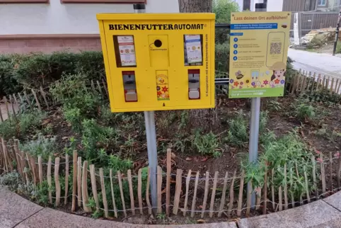 Der neue Bienenfutterautomat. 