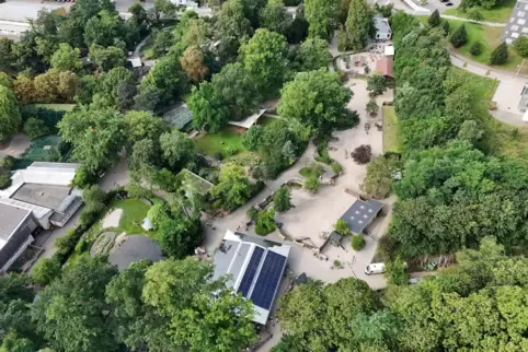 Der Landauer Zoo von oben. 