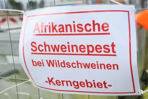 Seit Ausbruch der Schweinepest gelten bestimmte Regeln.